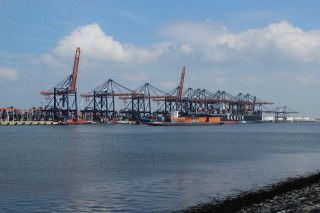 tm30