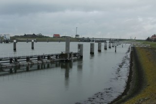 ad11