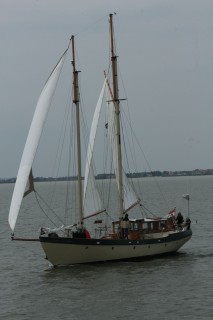 vm29