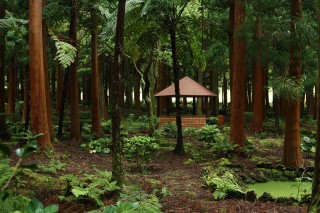azoren-2012-07-05