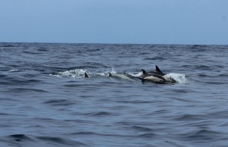 azoren-2012-10-08