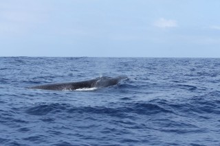 azoren-2012-10-19