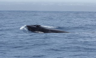 azoren-2012-10-25