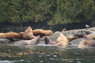 canada-2009-09-25