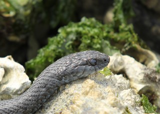 canada-2011-08-035