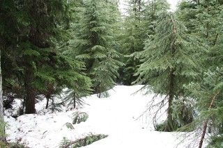 canada-2011-12-006