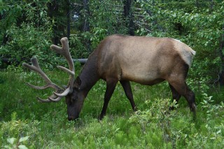 canada-2011-16-015