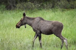 canada-2011-23-022