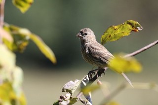 canada-2016-02-48
