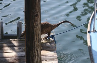 canada-2016-04-37