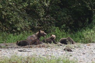canada-2016-09-76