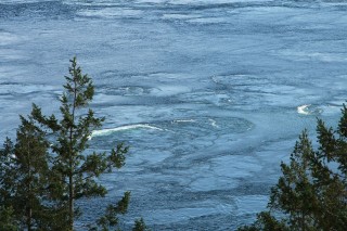 canada-2016-11-10