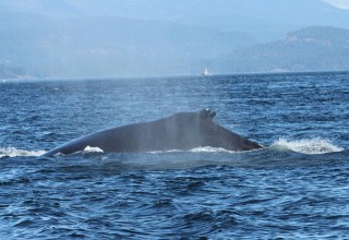canada-2016-12-10