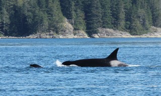 canada-2016-12-25