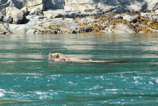 canada-2016-12-30