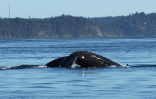 canada-2016-12-39