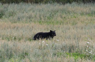 canada-2016-16-27