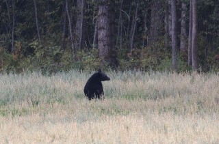 canada-2016-17-50