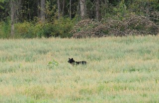 canada-2016-18-25