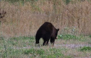 canada-2016-18-51