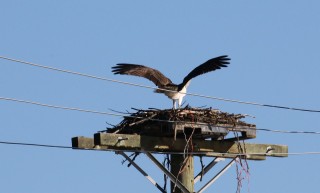 canada-2016-20-58
