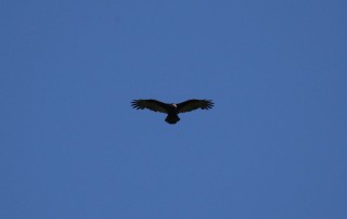 canada-2016-20-66