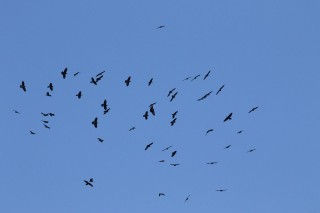 canada-2016-22-24