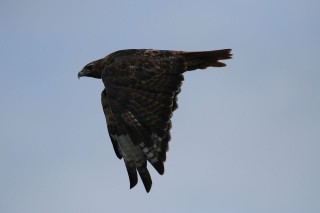 canada-2018-02-059