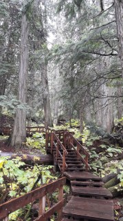 canada-2018-09-001