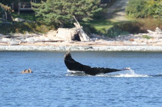 canada-2018-16-021