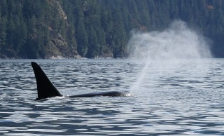 canada-2018-16-060