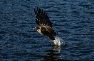 hurtigruten-2022-09-083