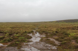 ijsland-2017-03-015