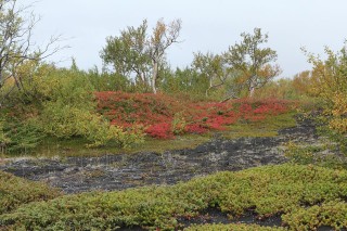 ijsland-2017-09-026