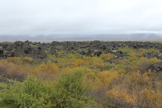ijsland-2017-09-037