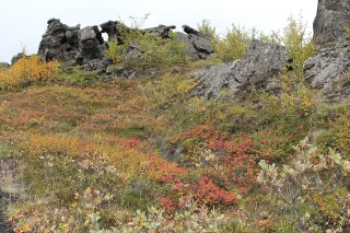 ijsland-2017-09-043