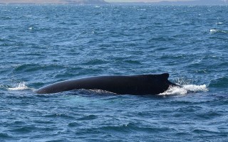 ijsland-2017-10-025