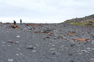 ijsland-2017-13-035