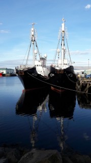 ijsland-2017-14-012