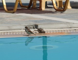 lesbos-2010-07-16