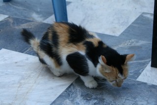 lesbos-2010-07-35