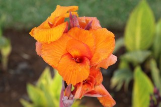 madeira-2019-01-032