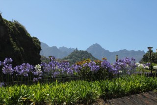 madeira-2019-05-022