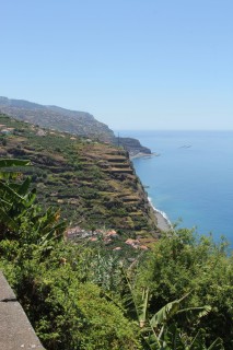 madeira-2019-05-031