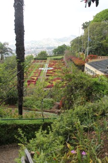 madeira-2019-06-014