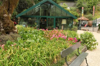 madeira-2019-06-028